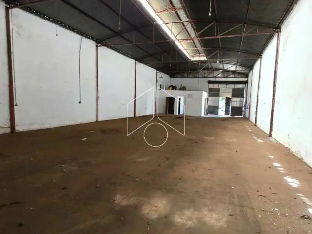 Galpão aluguel em Região Imediata de Marília, Marília