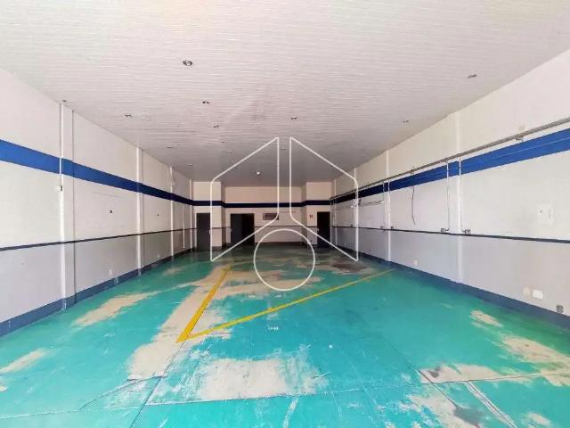 Galpão aluguel em Região Imediata de Marília, Marília