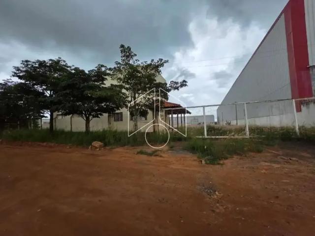 Galpão aluguel em Região Imediata de Marília, Marília