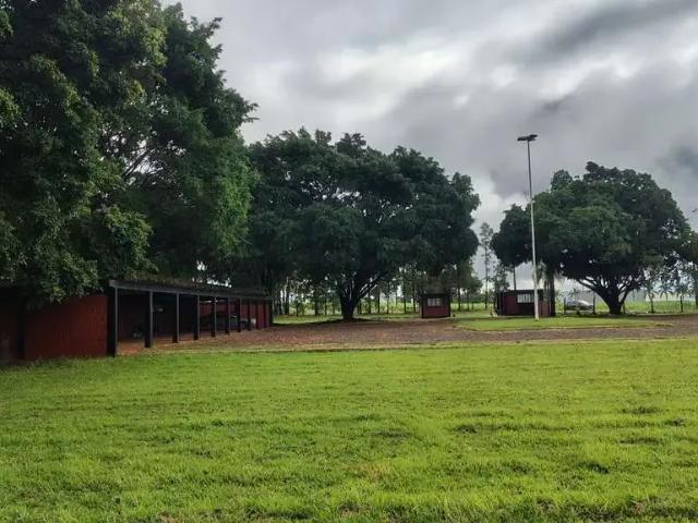 Galpão aluguel em Região Geográfica Imediata de Maringá, Maringá