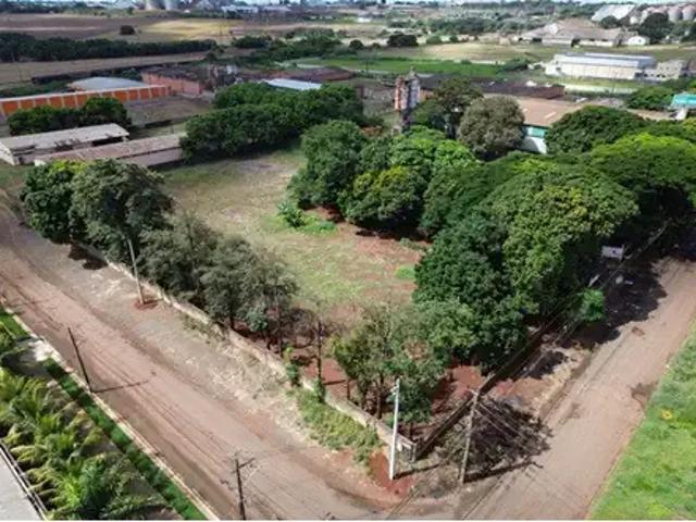 Galpão aluguel em Região Geográfica Imediata de Maringá, Maringá