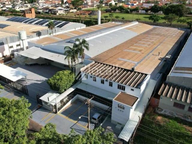 Galpão aluguel em Mirassol