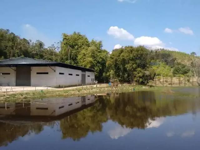 Galpão aluguel em Região Imediata de São Paulo, Região Metropolitana de São Paulo