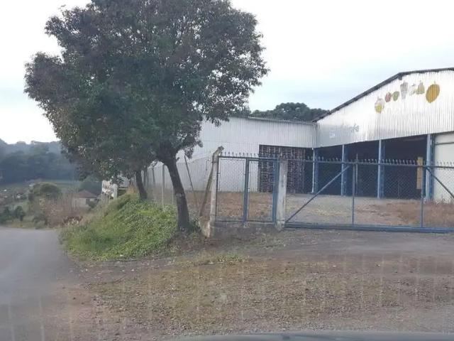 Galpão aluguel em Região Geográfica Imediata de Bento Gonçalves, Pinto Bandeira