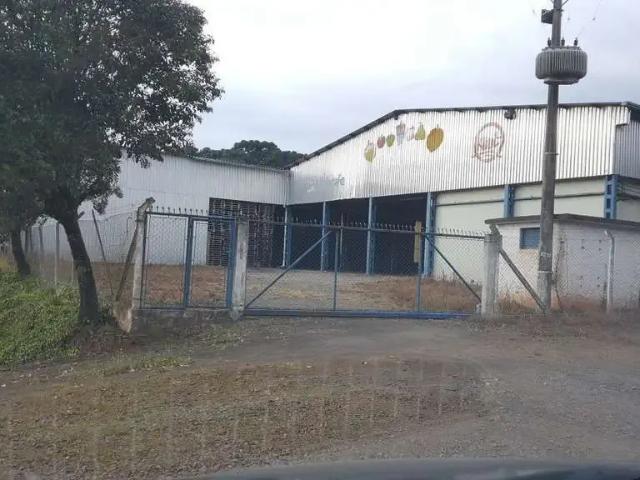 Galpão aluguel em Região Geográfica Imediata de Bento Gonçalves, Pinto Bandeira
