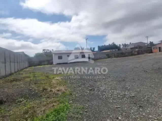 Galpão aluguel em Região Geográfica Imediata de Ponta Grossa, Ponta Grossa