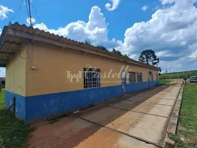 Galpão aluguel em Guaragi, Ponta Grossa