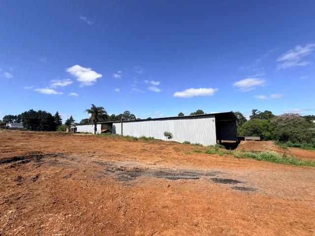 Galpão aluguel em Região Geográfica Imediata de Ponta Grossa, Ponta Grossa