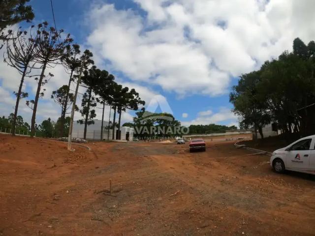 Galpão aluguel em Região Geográfica Imediata de Ponta Grossa, Ponta Grossa
