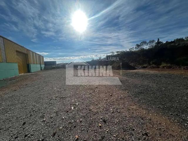 Galpão aluguel em Região Geográfica Imediata de Ponta Grossa, Ponta Grossa
