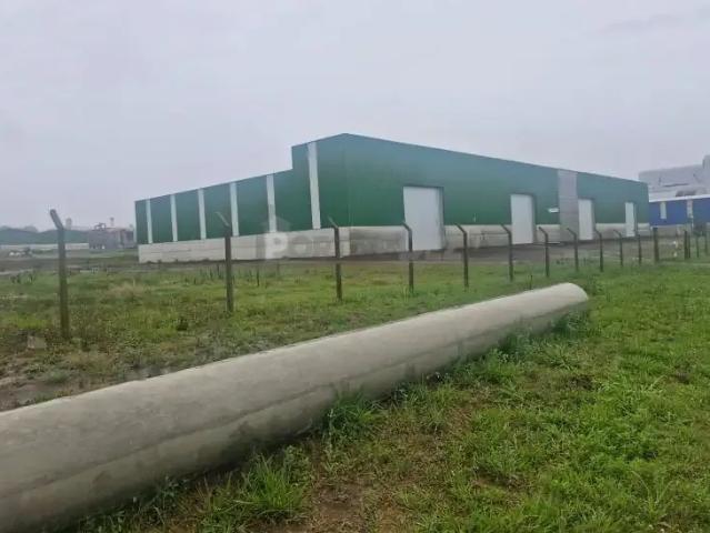 Galpão aluguel em Região Geográfica Imediata de Ponta Grossa, Ponta Grossa