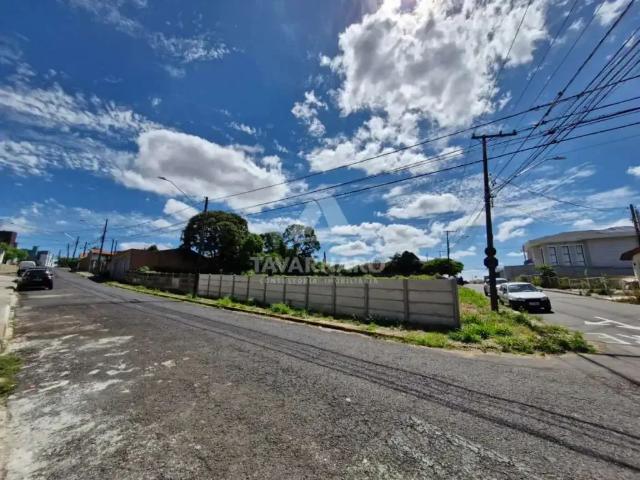 Galpão aluguel em Região Geográfica Imediata de Ponta Grossa, Ponta Grossa