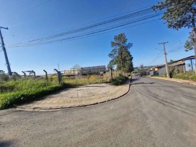Galpão aluguel em Região Geográfica Imediata de Ponta Grossa, Ponta Grossa