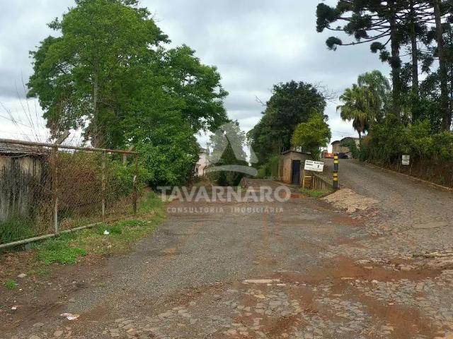 Galpão aluguel em Região Geográfica Imediata de Ponta Grossa, Ponta Grossa