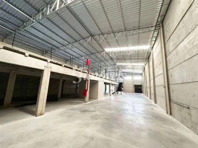 Galpão aluguel em Região Geográfica Imediata de Itajaí, Porto Belo