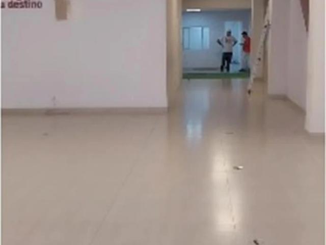 Galpão aluguel em Região Imediata de Santos, Região Metropolitana da Baixada Santista