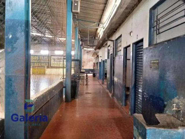 Galpão aluguel em Região Imediata de Ribeirão Preto, Região Metropolitana de Ribeirão Preto