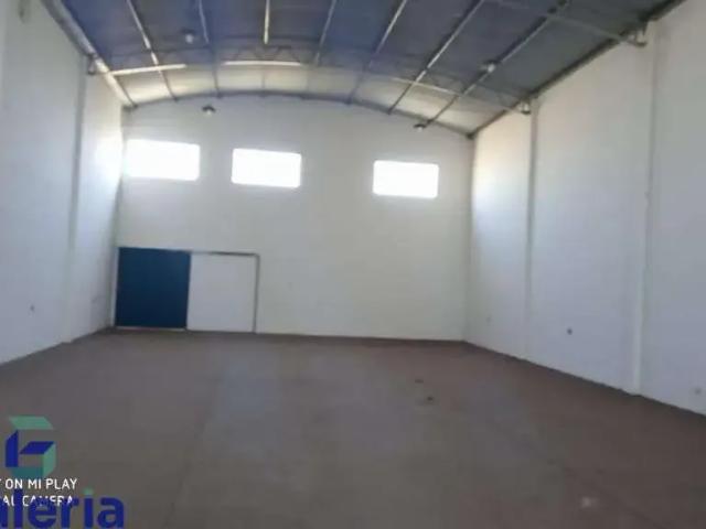 Galpão aluguel em Região Imediata de Ribeirão Preto, Região Metropolitana de Ribeirão Preto