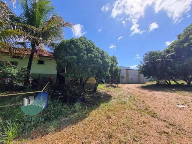 Galpão aluguel em Região Imediata de Ribeirão Preto, Região Metropolitana de Ribeirão Preto