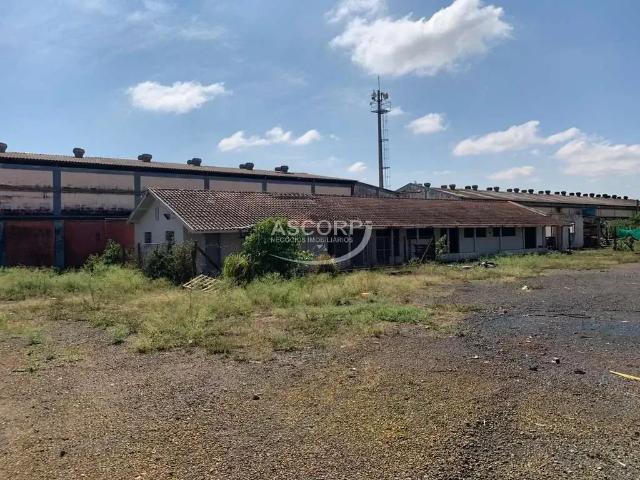 Galpão aluguel em Região Imediata de Piracicaba, Região Metropolitana de Piracicaba