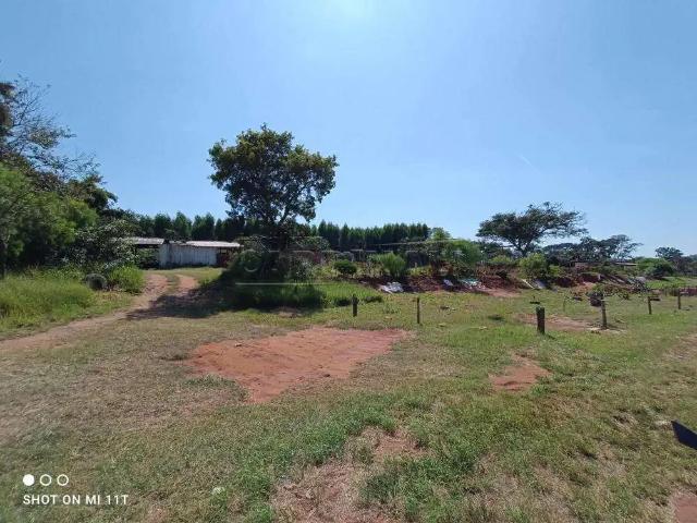Galpão aluguel em Região Imediata de São Carlos, São Carlos