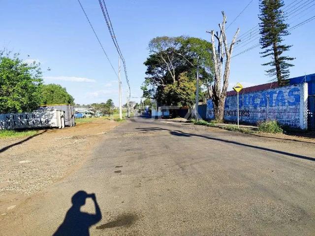Galpão aluguel em Região Imediata de São Carlos, São Carlos