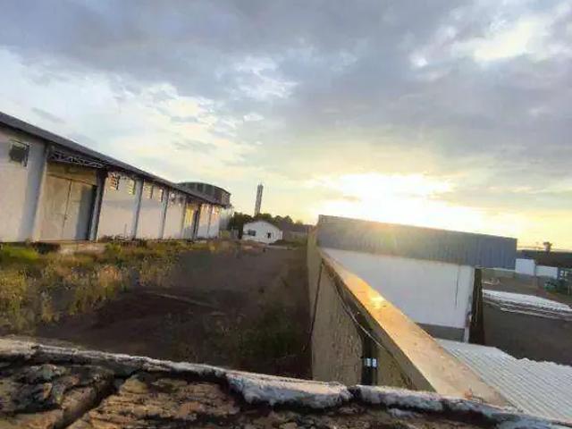 Galpão aluguel em Região Imediata de São José do Rio Preto, Região Metropolitana de São José do Rio Preto