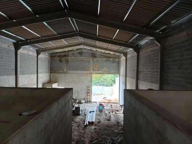 Galpão aluguel em Área Industrial Aeroportuária, São José dos Pinhais