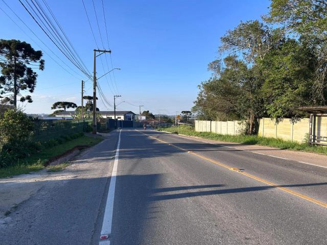Galpão aluguel em Região Geográfica Imediata de Curitiba, Região Metropolitana de Curitiba
