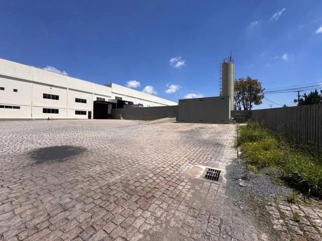 Galpão aluguel em Iná, São José dos Pinhais
