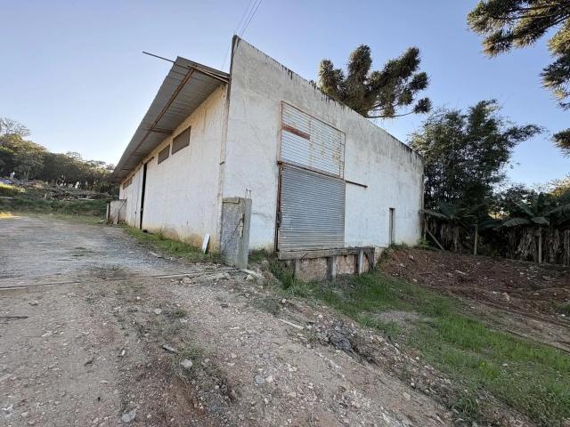 Galpão aluguel em Região Geográfica Imediata de Curitiba, Região Metropolitana de Curitiba
