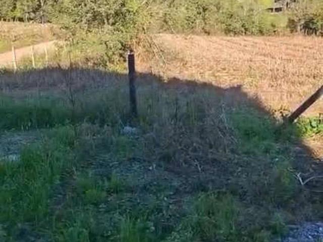 Galpão aluguel em Região Geográfica Imediata de Curitiba, Região Metropolitana de Curitiba