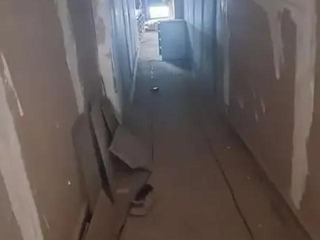 Galpão aluguel em Região Imediata de São Paulo, Região Metropolitana de São Paulo