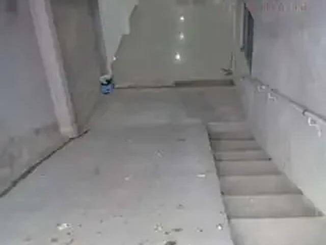 Galpão aluguel em Região Imediata de São Paulo, Região Metropolitana de São Paulo