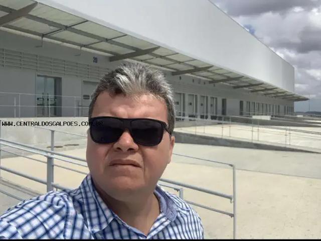 Galpão aluguel em Região Geográfica Imediata de Salvador, Região Metropolitana de Salvador