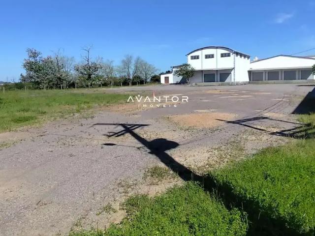 Galpão aluguel em Região Geográfica Imediata de Santa Maria, Santa Maria