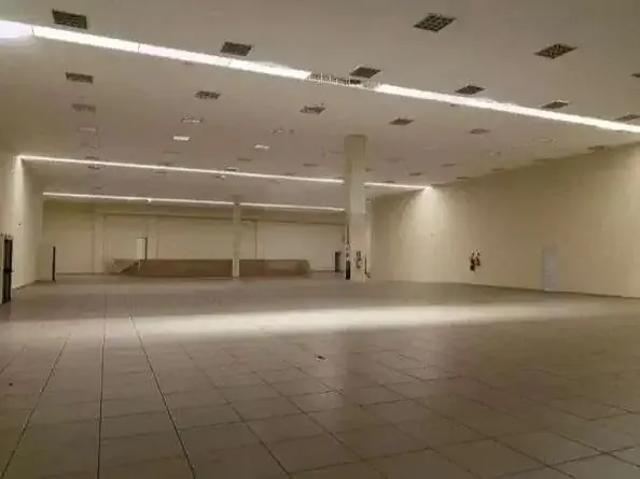 Galpão aluguel em Casa Branca, Santo André