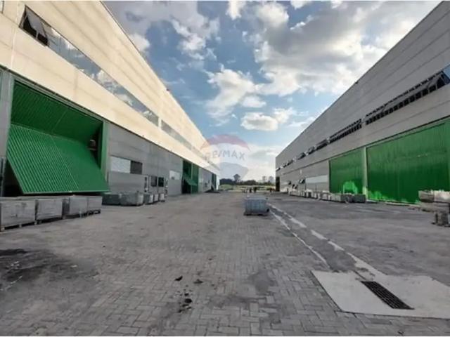 Galpão aluguel em Região Imediata de São Paulo, Região Metropolitana de São Paulo