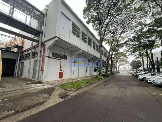 Galpão aluguel em Santo André