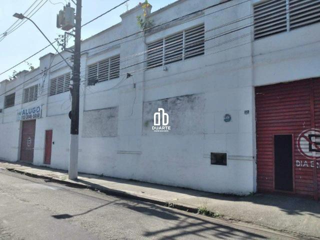 Galpão aluguel em Santos