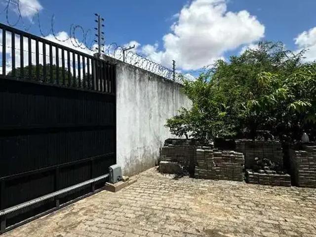Galpão aluguel em Região Geográfica Imediata de Teresina, Região Integrada de Desenvolvimento da Grande Teresina