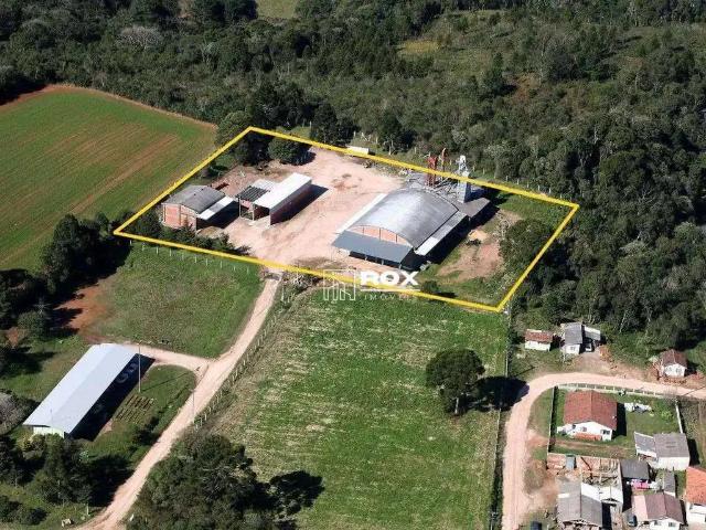 Galpão aluguel em Região Geográfica Imediata de Curitiba, Região Metropolitana de Curitiba