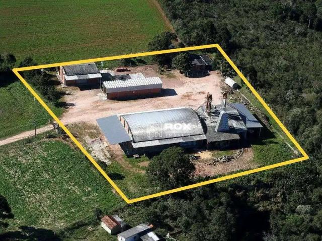 Galpão aluguel em Região Geográfica Imediata de Curitiba, Região Metropolitana de Curitiba
