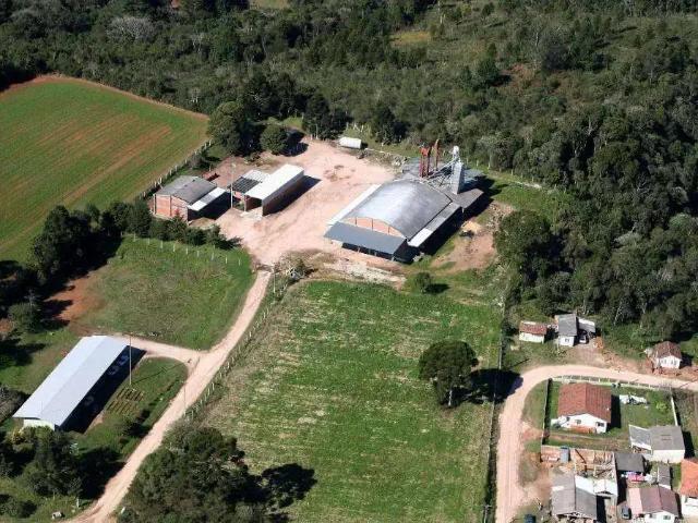 Galpão aluguel em Região Geográfica Imediata de Curitiba, Região Metropolitana de Curitiba