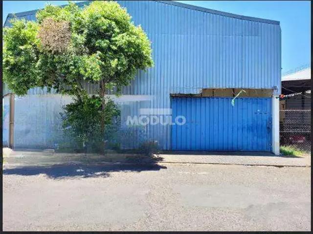 Galpão aluguel em Região Geográfica Imediata de Uberlândia, Oliveira Fortes