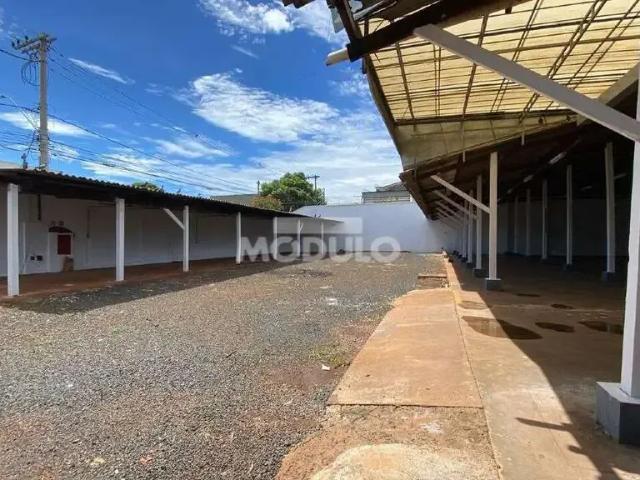 Galpão aluguel em Custódio Pereira, Uberlândia