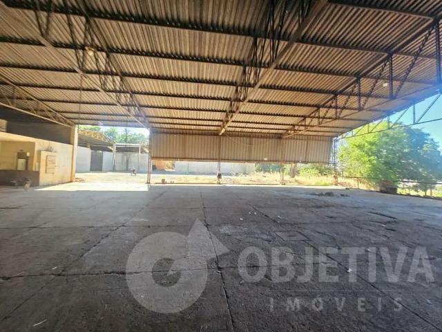 Galpão aluguel em Região Geográfica Imediata de Uberlândia, Oliveira Fortes