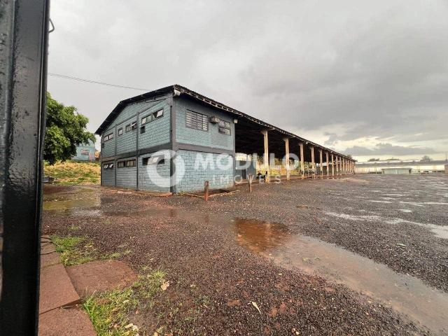 Galpão aluguel em Setor Norte, Uberlândia