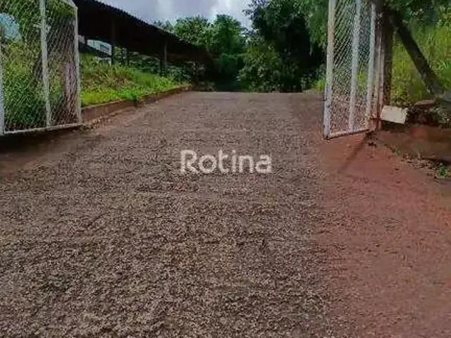 Galpão aluguel em Região Geográfica Imediata de Uberlândia, Oliveira Fortes