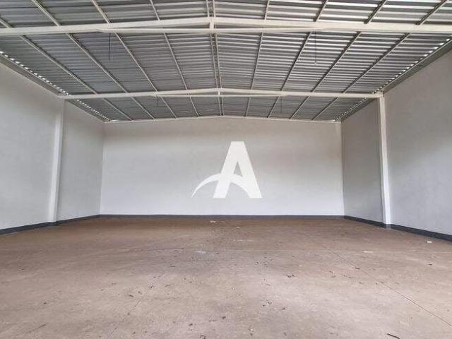 Galpão aluguel em Dona Zulmira, Uberlândia